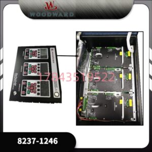 WOODWARD 8237-1246 | ProTech-GII超速检测系统 TMR冗余 SIL3 现货