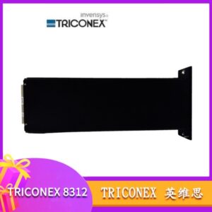 Triconex 8312 | 19 英寸标准机柜安装 主框架