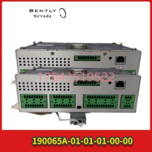 BENTLY 190065A-01-01-01-00-00 | 1900/65A振动监测模块
