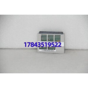 1C31197G01