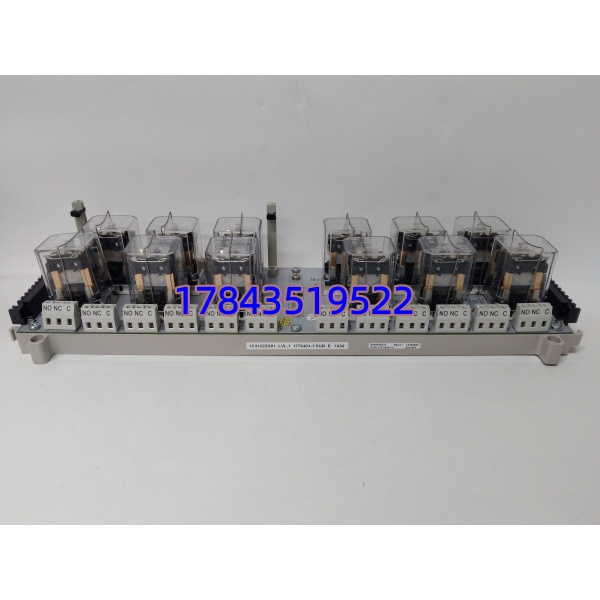 艾默生1C31222G01