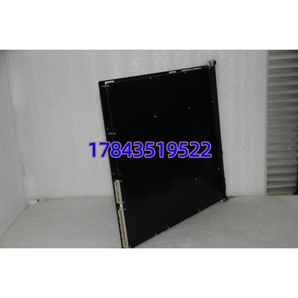 Triconex 3008