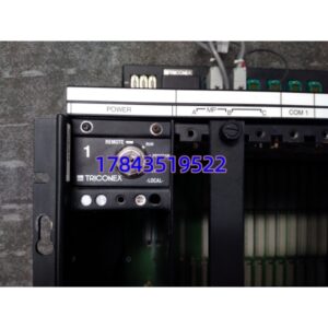 Triconex 8111