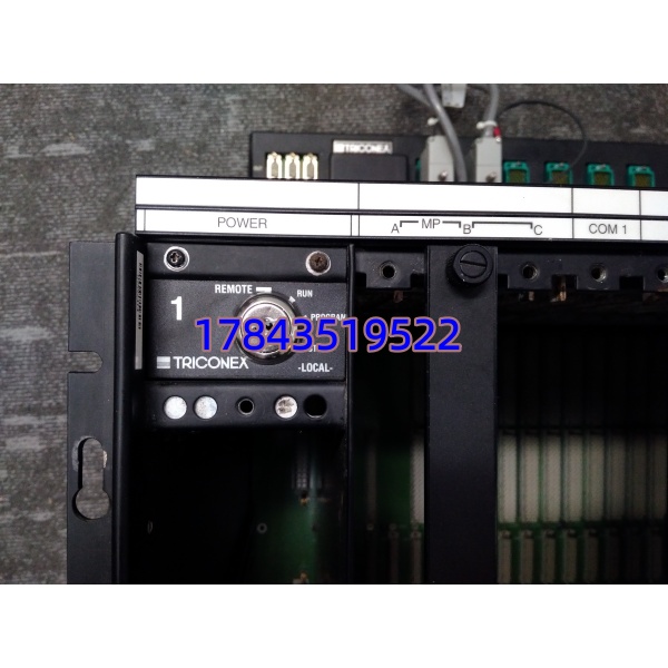 Triconex 8111