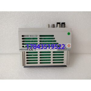 Emerson Ovation 1C31181G01 | 远程模拟输入模块 DCS 系统