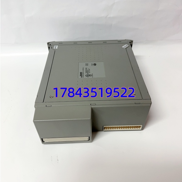 ICS TRIPLEX T8110B | 安全仪表系统 SIS 控制器 在线热插拔 - 图片 4