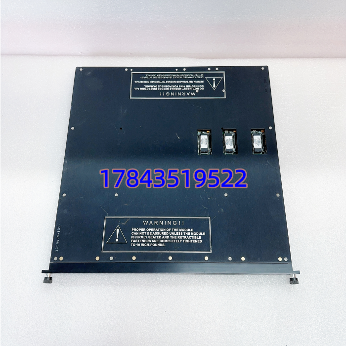 Triconex 3623T | TMR 三重化冗余监督数字输出模块 - 图片 3