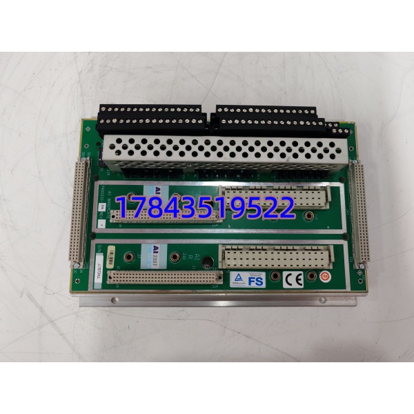 TRICONEX AI2351 7400210-010