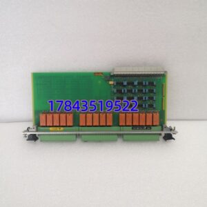 VM600 200-570-000-014/200-570-101-013 | 旋转机械振动监测模块