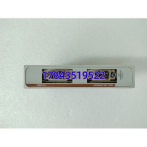 Emerson OVATION 1C31169G02 | 过程控制模拟量 / 数字量模块