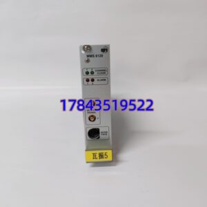 EPRO MMS6120 | MMS6000 系统瓦振卡件 PR926X 传感器适配