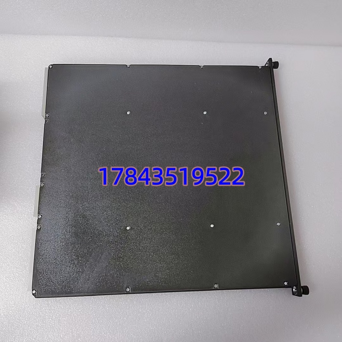 TRICONEX 3806E | SIS 系统模拟输出模块 6 通道 SIL3 认证 - 图片 2