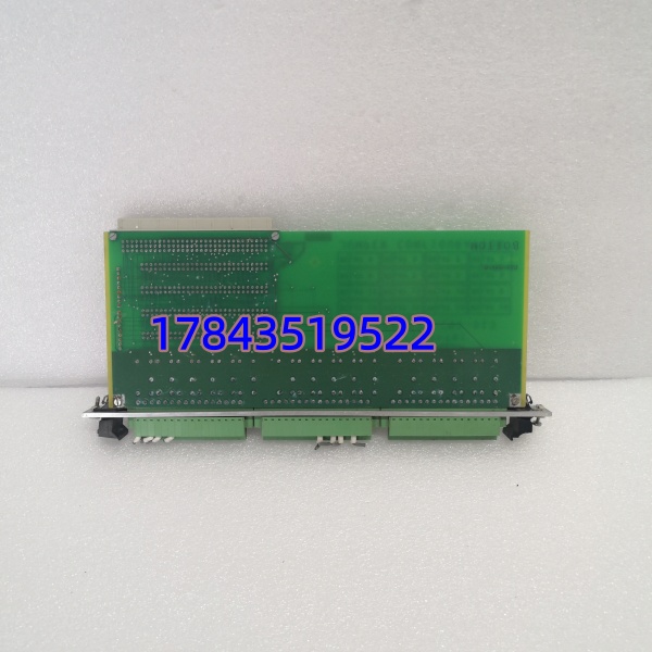 VM600 200-570-000-014/200-570-101-013 | 旋转机械振动监测模块 - 图片 2