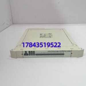 ICS TRIPLEX T8431 | 40 通道模拟输入模块
