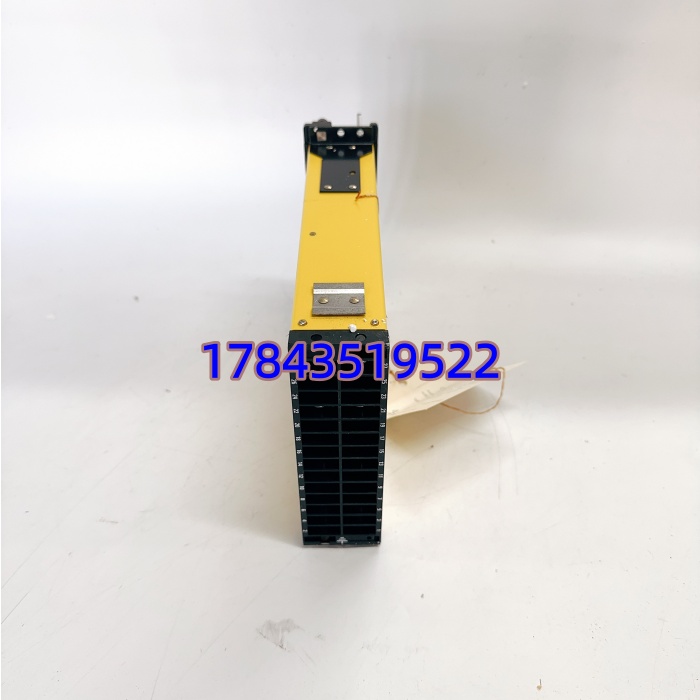 ALSTOM MVAX12B1DA0753A | 110-125VAC 50/60Hz 保护卡件 - 图片 4