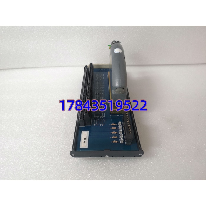 ICS TRIPLEX T8850 | Trusted 系列 40 通道模拟 / 数字输出 FTA 模块 - 图片 3