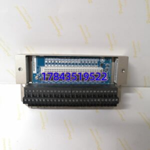 GE IS430SNUAH1A | 8 通道模拟量输入 16 位分辨率 原装正品