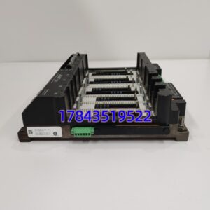 BENTLY NEVADA 289761-01-4 | 3701/55 四通道通用设备监测器