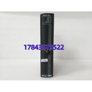 采购 TRICONEX DI3301 | 原装正品 快速发货 冗余模块