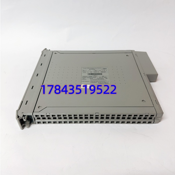 ICS TRIPLEX T8431 | 核电 / 化工 ESD 系统原装备件