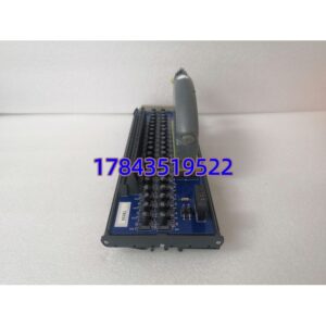 ICS Triplex T8830 | 40 通道模拟量输入 FTA 端子模块
