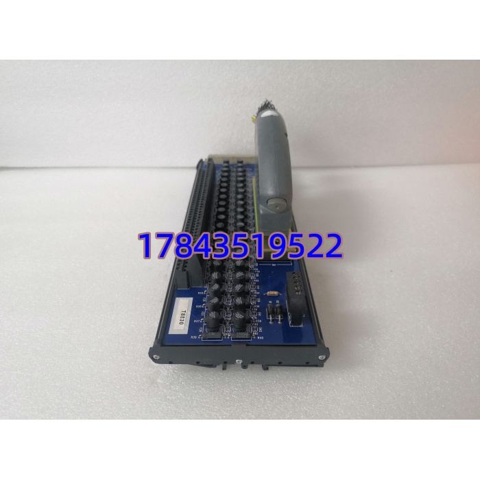 ICS Triplex T8830 | 40 通道模拟量输入 FTA 端子模块