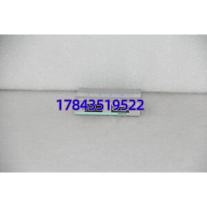 1C31197G01.