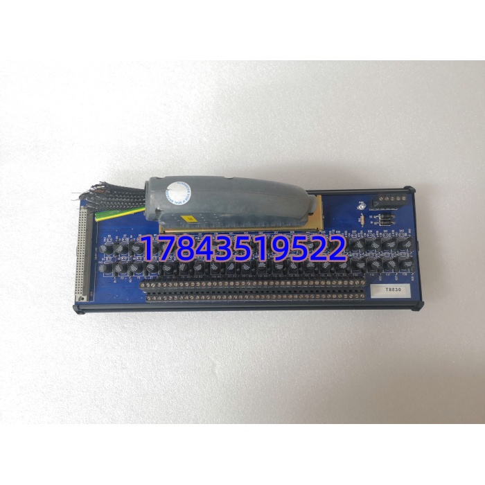 ICS Triplex T8830 | 40 通道模拟量输入 FTA 端子模块 - 图片 4