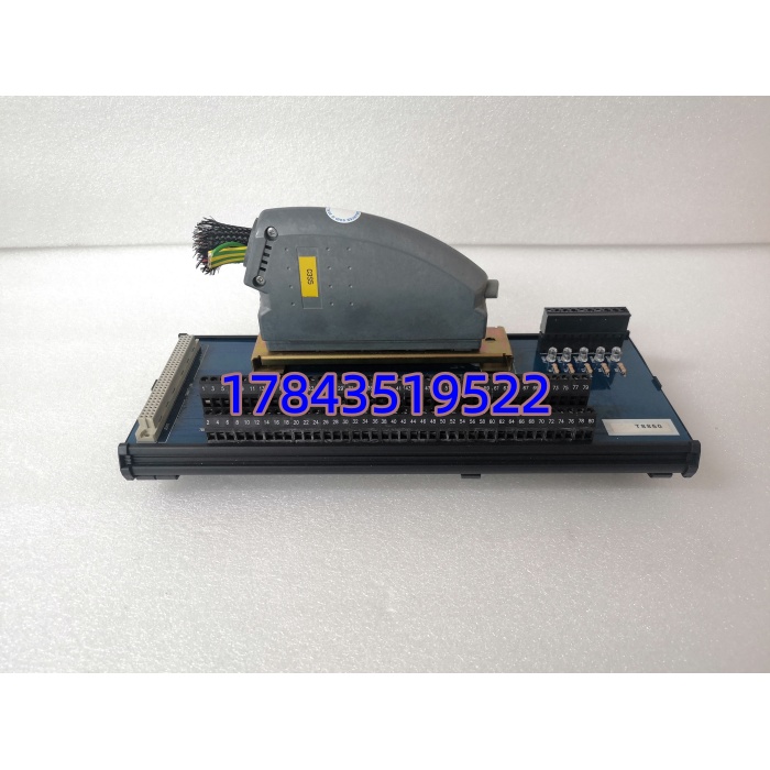 ICS TRIPLEX T8850 | Trusted 系列 40 通道模拟 / 数字输出 FTA 模块