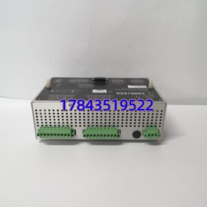 BENTLY 190065A-00-04-01-00-00 | 通用设备监视器 振动温度监测模块