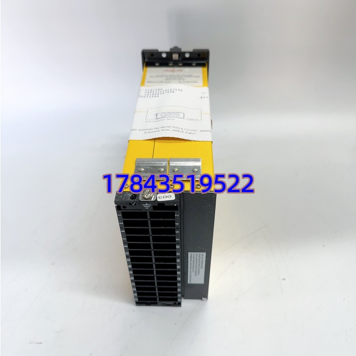 ALSTOM MVAX31C1DF0754A | 插拔式机架安装 保护回路监测 - 图片 4