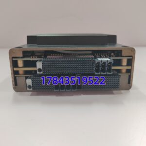 Bently Nevada 3701/55 | ADAPT ESD 紧急停机安全模块