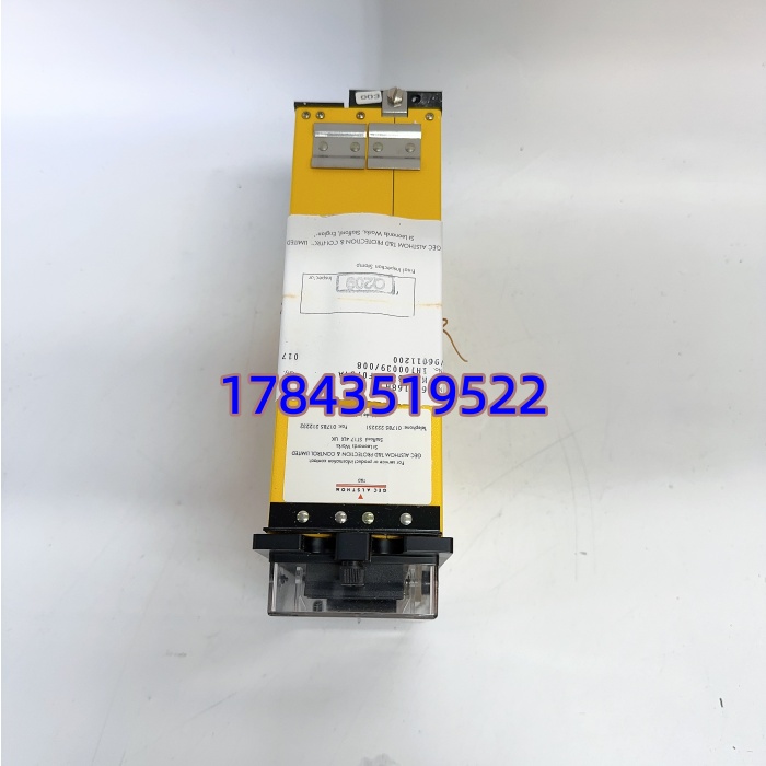 ALSTOM MVAX31C1DF0754A | 插拔式机架安装 保护回路监测 - 图片 2