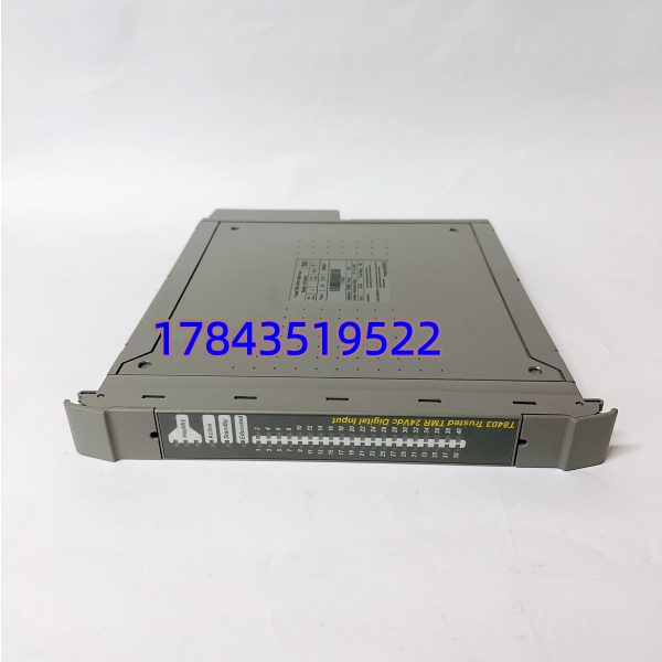 ICS Triplex T8403 全新原装 | Trusted 系列 SIS 系统备件 一年质保 - 图片 2