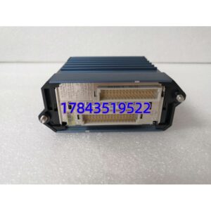 Foxboro FBM232 P0926GW | I/A Series 16 通道模拟量输出模块