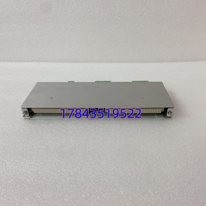Bently Nevada 125680-01 | 3500/40M 前置器监测 I/O 模块 - 图片 2