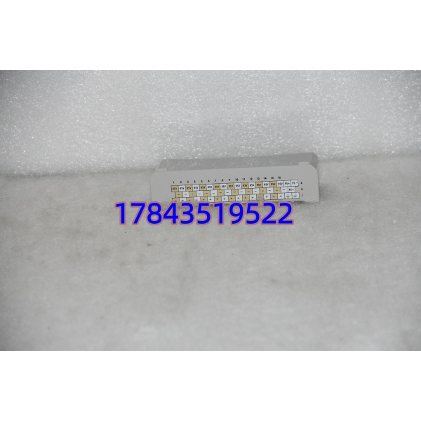 1C31238H01