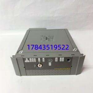 ICS TRIPLEX T8110B | 安全仪表系统 SIS 控制器 在线热插拔