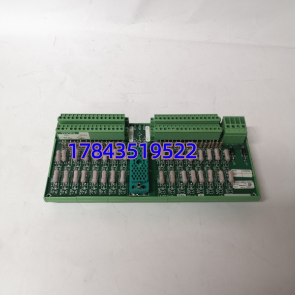 TRICONEX 9566-810/820/830 | Trident/TS3000 系统卡件