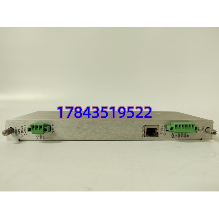 BENTLY 146031-01 | 接近探头信号输入 高精度转速测量模块 - 图片 3
