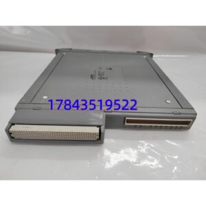 ICS TRIPLEX T8310 | 石油化工电力安全控制系统备件