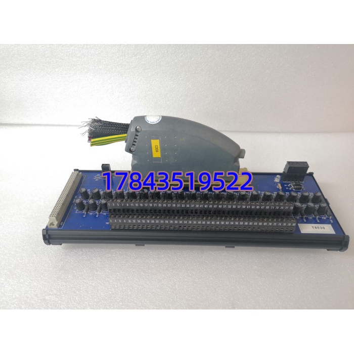 ICS Triplex T8830 | 40 通道模拟量输入 FTA 端子模块 - 图片 3