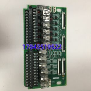 GE IS200TRLYH1BGF | Mark VI 涡轮继电器端子板 12 通道 SPDT 输出
