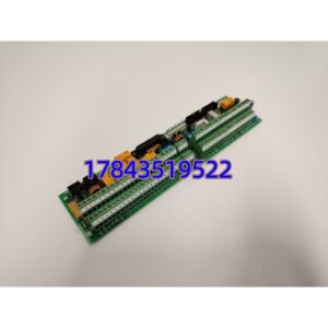 艾默生 531X305NTBAPG1 | 工业 DCS 端子板模块