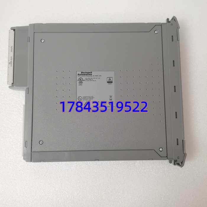 ICS TRIPLEX T8461C | IEC61508 SIL3 认证 高可靠继电器输出 - 图片 3