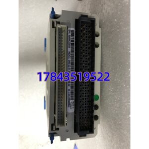 1C31166G01