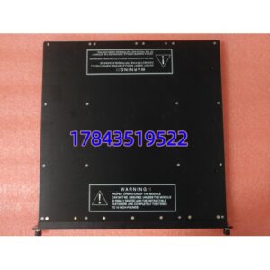 TRICONEX 3721C | Tricon 系统 DAI 模块 一年质保