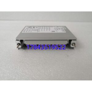Bently 106M1081-01 | 85-264VAC 宽电压输入 监测系统备件