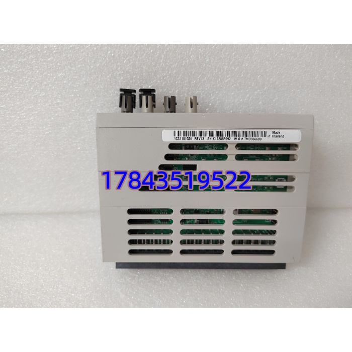 Emerson Ovation 1C31181G01 | 远程模拟输入模块 DCS 系统 - 图片 2