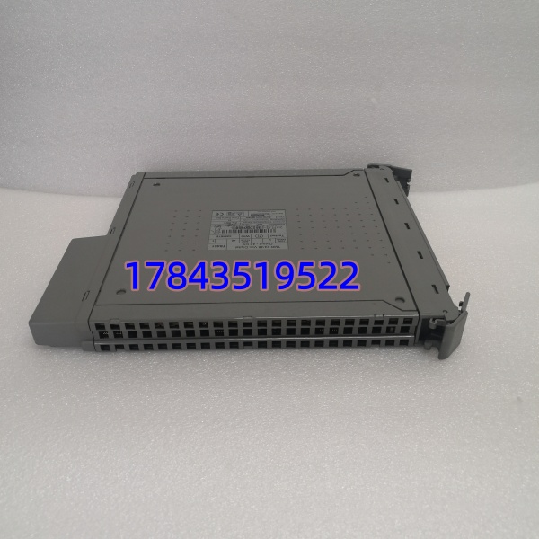 ICS TRIPLEX T8461 | 0.5ms 响应 SOE 事件记录 容错输出模块 - 图片 4